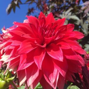 Meet your Posher, Avery